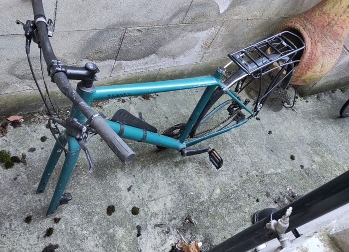 canyon bike frame