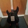TPS Strat Image 6