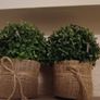 2 x light-up faux plants in hession pots Image 2