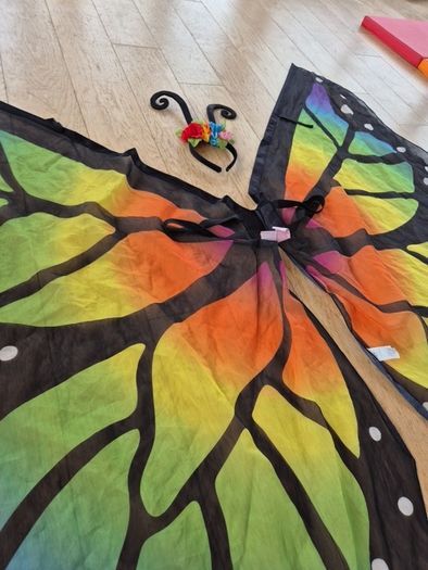 Beautiful Butterfly Costume