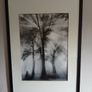 large black and white picture. Image 3