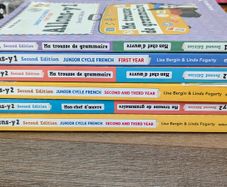 Junior Cert French - Allons Y 1 and 2