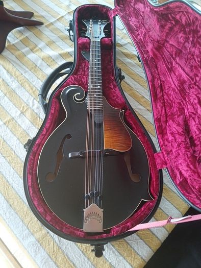Coostar F5 Mandolin