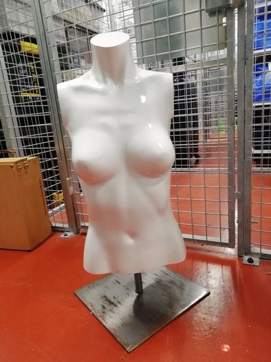 Half body mannequin