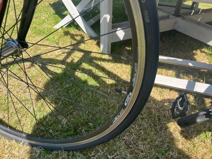 Focus Cyclocross