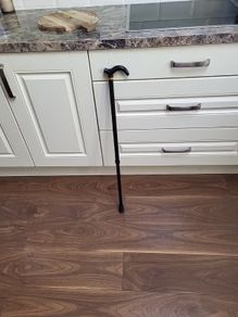 Walking stick telescopic