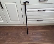 Walking stick telescopic