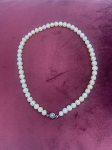 Freshwater Pearl Necklace's