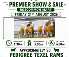 West Region Texel Club Premier Show & Sale