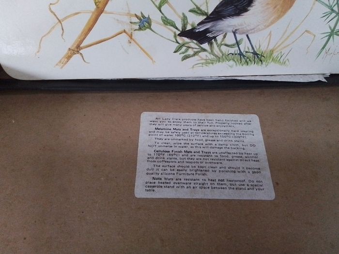 Set of Place Mats with Bird Display