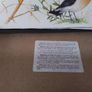 Set of Place Mats with Bird Display Image 2