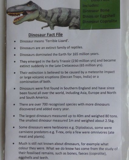 Dinosaur Fossils