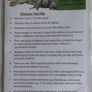 Dinosaur Fossils Image 6