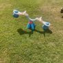 FREE Seesaw Image 2