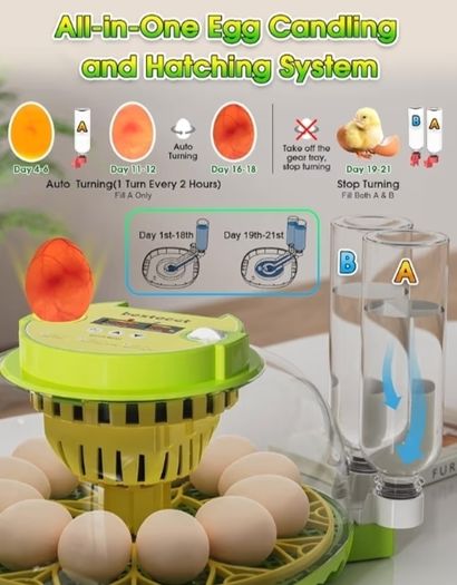 Incubators for Hatching Eggs,12 Egg Incubator with Automatic Egg Turning and Humidity Control,Egg Candler,Air Vent,360  Viewing for Chicken,Quail Eggs,Ideal for Farm,Classroom,Home