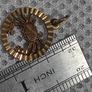 Vintage Zodiac sign Cancer pendant gold Image 3