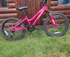 Girl's Ridgeback Bike