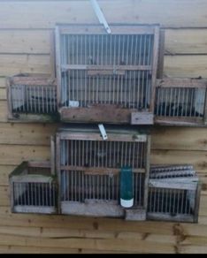 bird avairy trap cage
