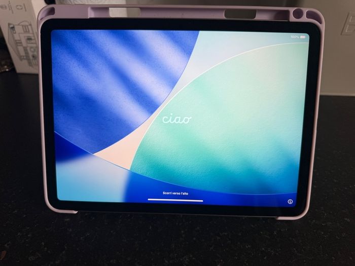 iPad Air 11 M3 (256gb)
