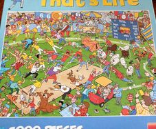 1000 piece Jigsaw Puzzle