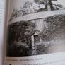 Nothing Quite Like It/ An American- Irish Childhood/ Nicholas Grene/ 2011 Image 7