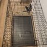 dog cage Image 6