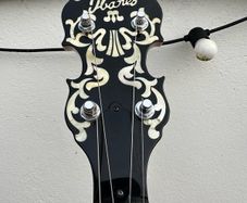Ibanez Artist banjo