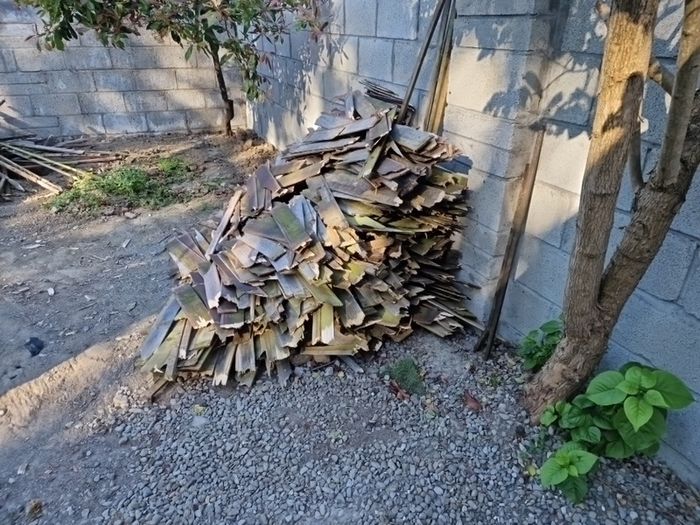 wood