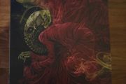 Sandman Box Set + Death + Black Orchid Comic