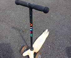 Micro scooter