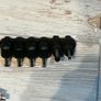 Maplin 12V 72W car laptop charger Image 5