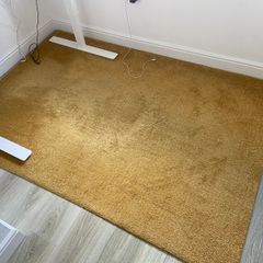 Ikea rug