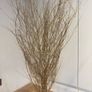 Christmas Decoration Image 3