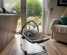 Baby bouncer