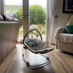 Baby bouncer