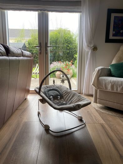 Baby bouncer