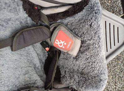 Phil&Teds buggy