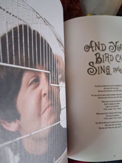 The Beatles Illustrated Lyrics/ 1963 - 1970 / 1st ed./ 2020