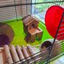 Hamster Cage and Accessories Bundle Image 8