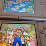 Nintendo Ds Image 9
