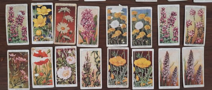 Vintage Wills Cigarette Cards - Wild Flowers & Garden Hints