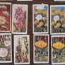 Vintage Wills Cigarette Cards - Wild Flowers & Garden Hints Image 3