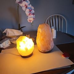 Himalayan salt lamps  10 euro each