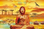 Buddha Bar XXVII DJ Ravin 2lp gold vinyl