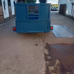 8X4 Trailer