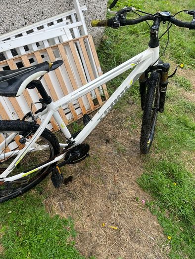 Team 26" Mountain Bike