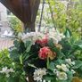 hanging Basket Image 4
