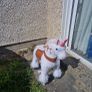 toy Image 3