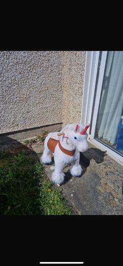 toy