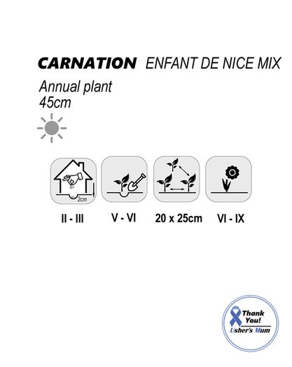 (D) Carnation Enfant De Nice Mix Seeds 0.15g (415052)